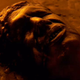 Imagen para el artículo titulado La verdadera razón por la que Han Solo fue congelado en carbonita en The Empire Strikes Back